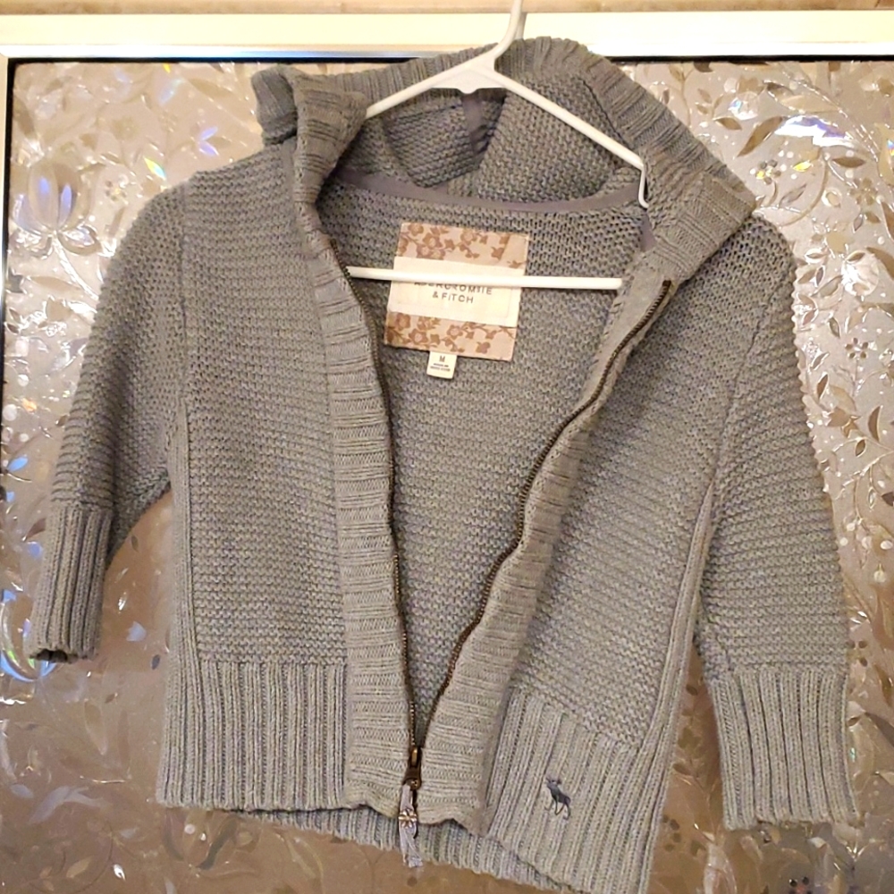 Abercrombie and Fitch crop hoodie (runs small)